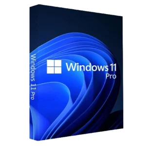 On-site Windows 11 Installation Bathinda – Windows 11 Pro